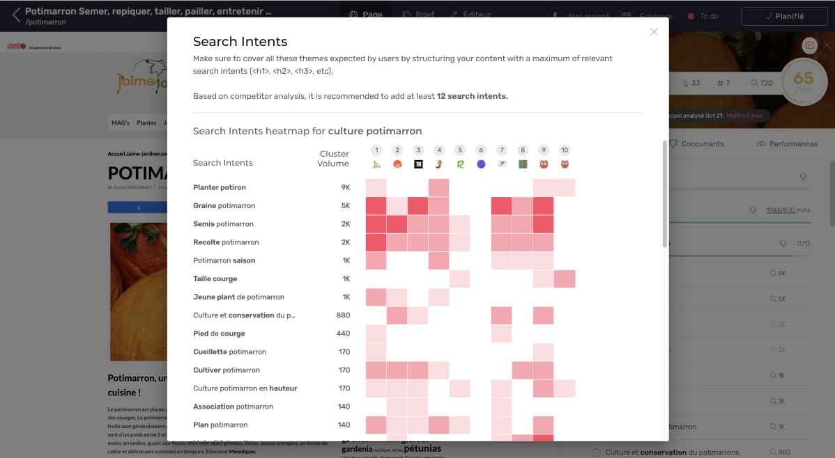 Illustration: Search intents OF EN