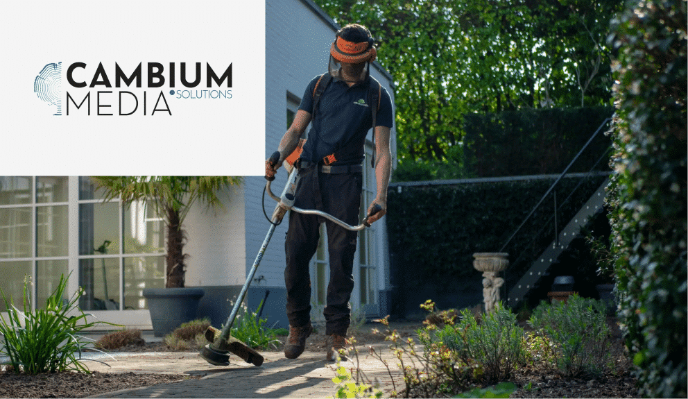 increase in SEO traffic