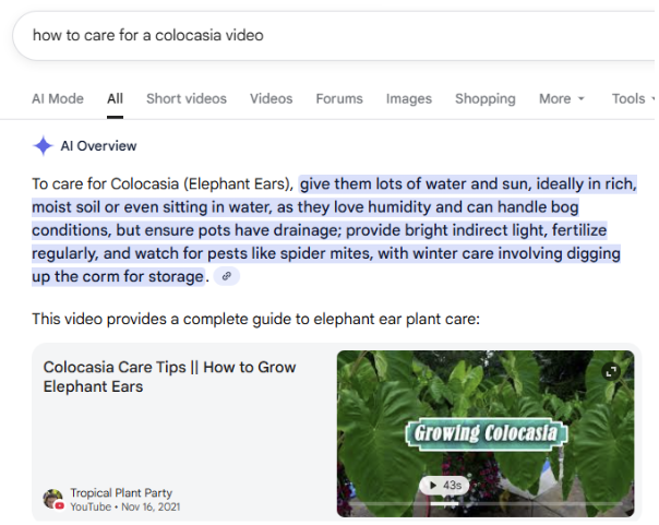 vidéo dans ai overviews
