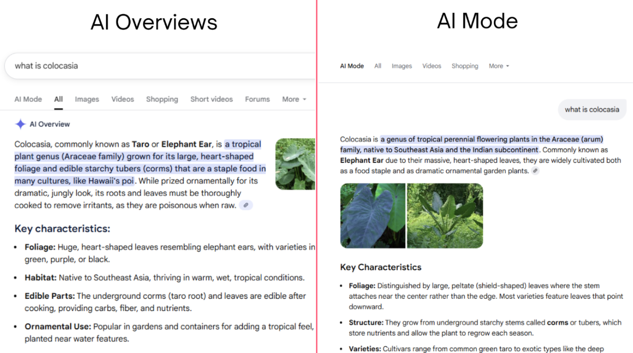 différence ai overviews et ai mode